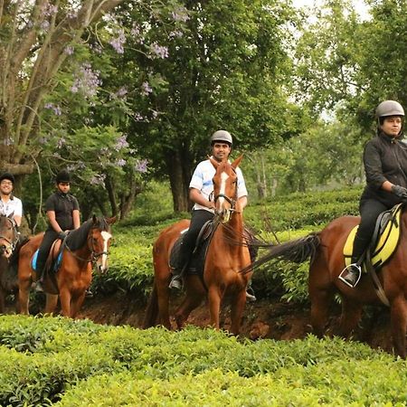 Willow Hill By Nature Resorts And Stays 우티 외부 사진